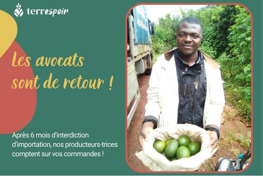 avocats