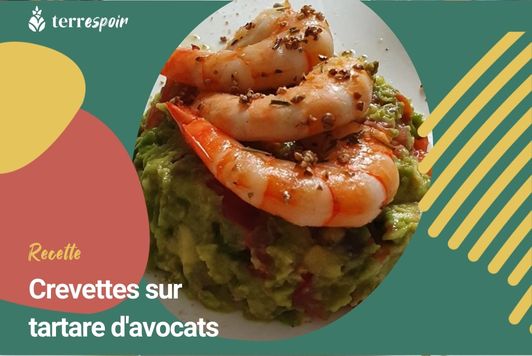 crevettes sur tartare d'avocat