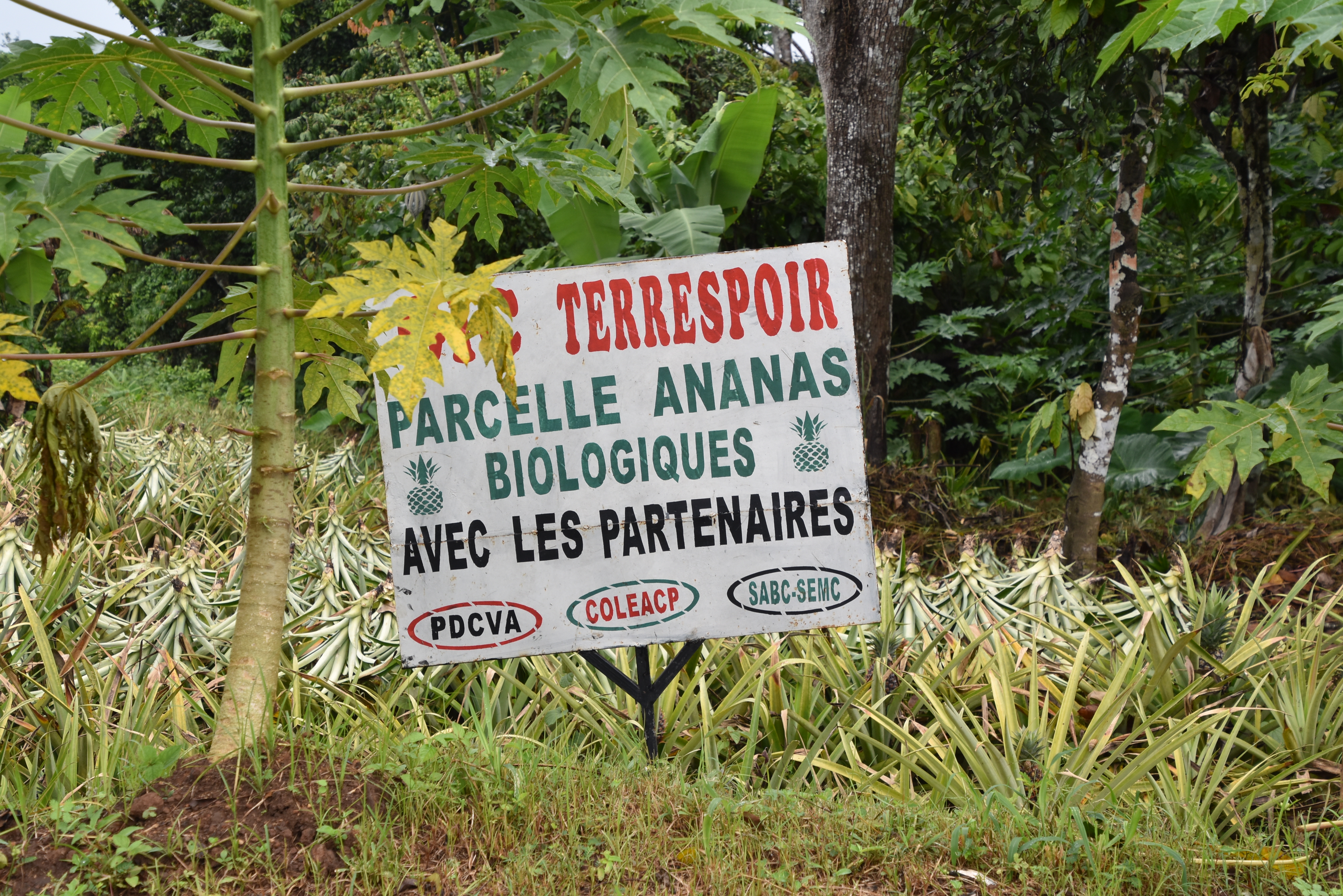 parcelle biologique