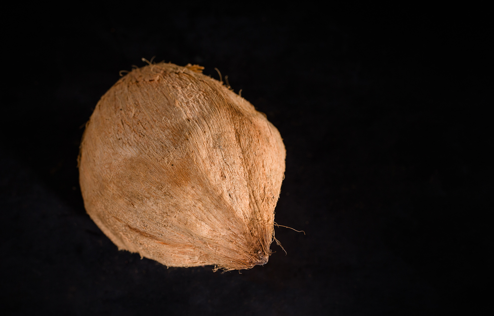 Noix de coco mûre
