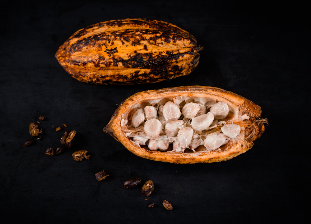 Cabosse de cacao