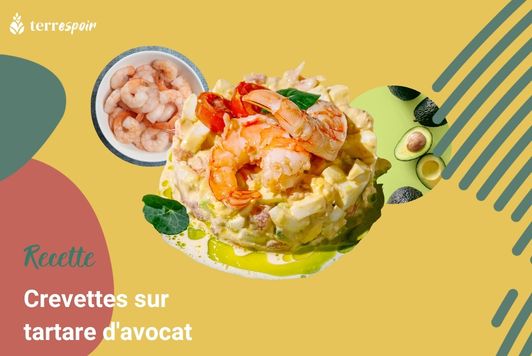 Crevettes sur tartare d'avocat