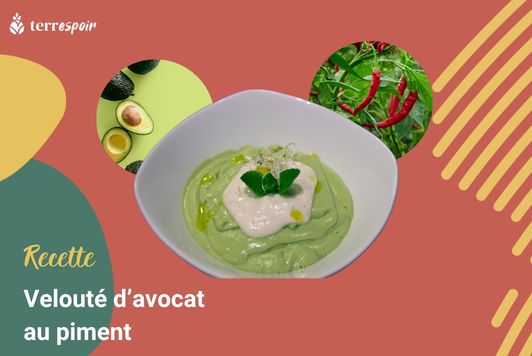 Velouté d’avocat au piment